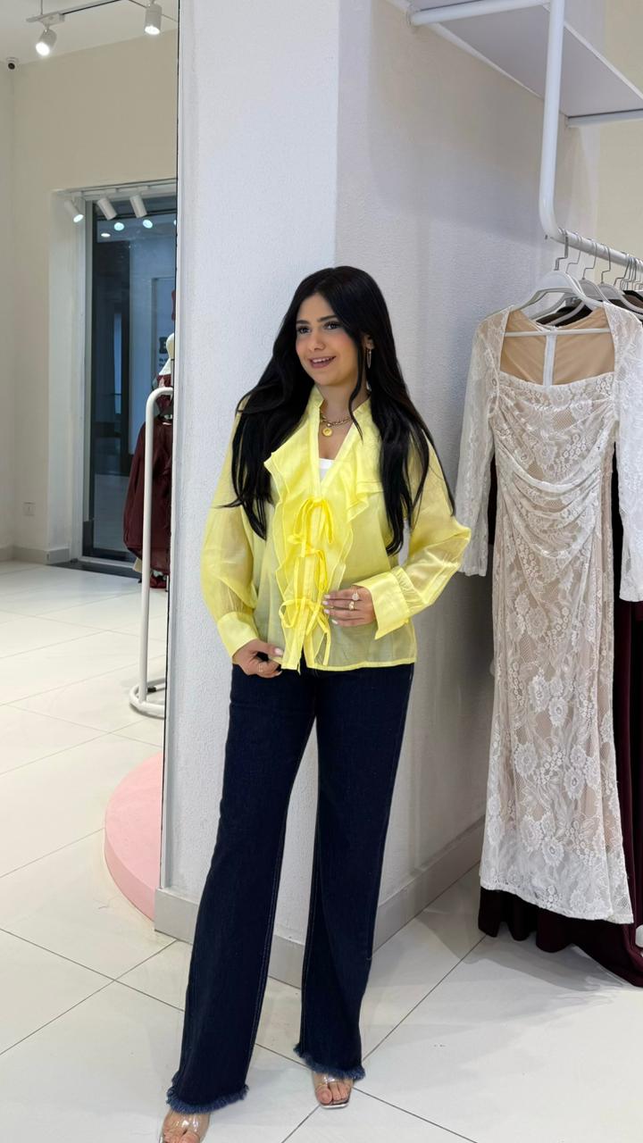 sheer ruffled blouse
